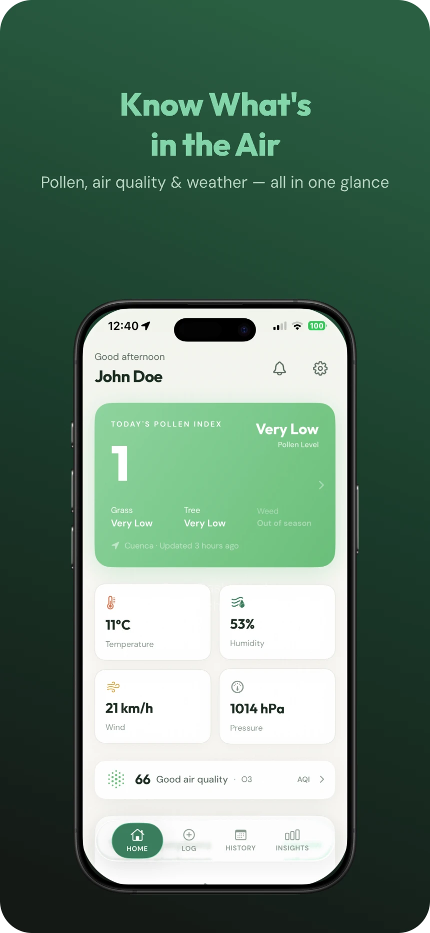 Dashboard showing pollen index, air quality, and weather
